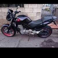Honda cbf 500