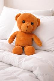 Teddy peluche 