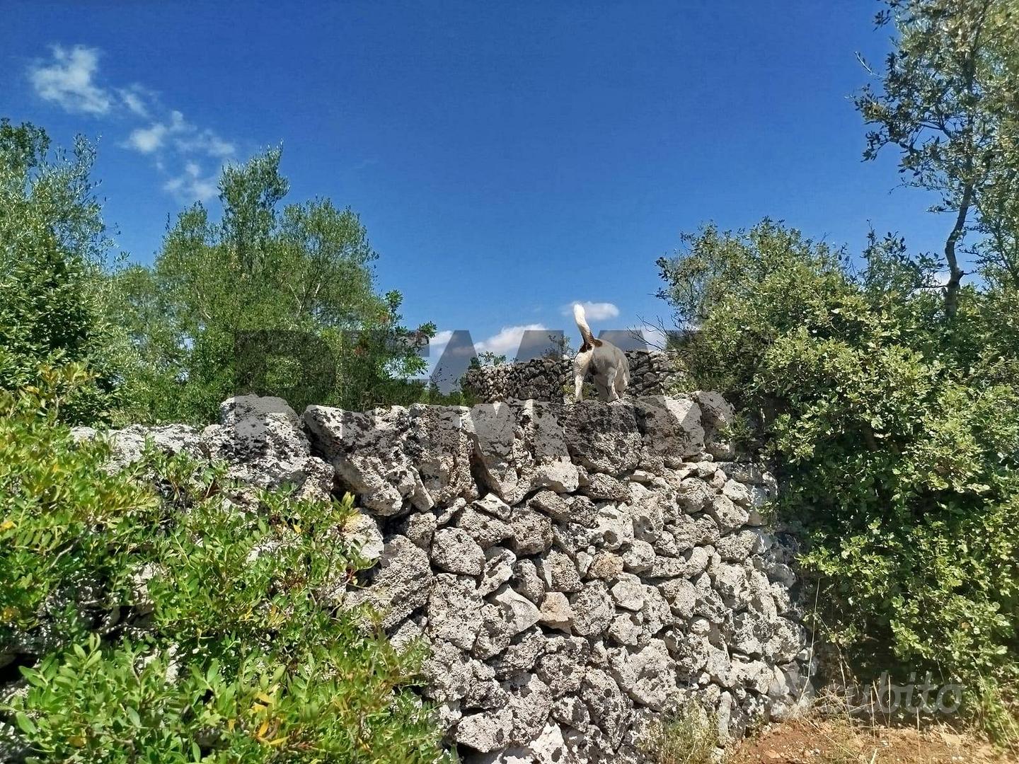 Terreno - Noto - Vista 5