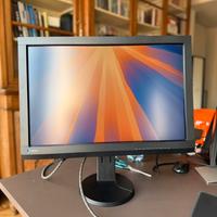 Monitor EIZO ColorEdge CG247X 24'' IPS