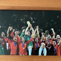 Quadro della Spagna Campione del Mondo 2010