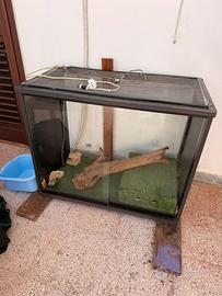 Terrario