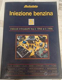 libro iniezione benzina