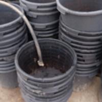 vasi mirtillo o piante da 40 litri