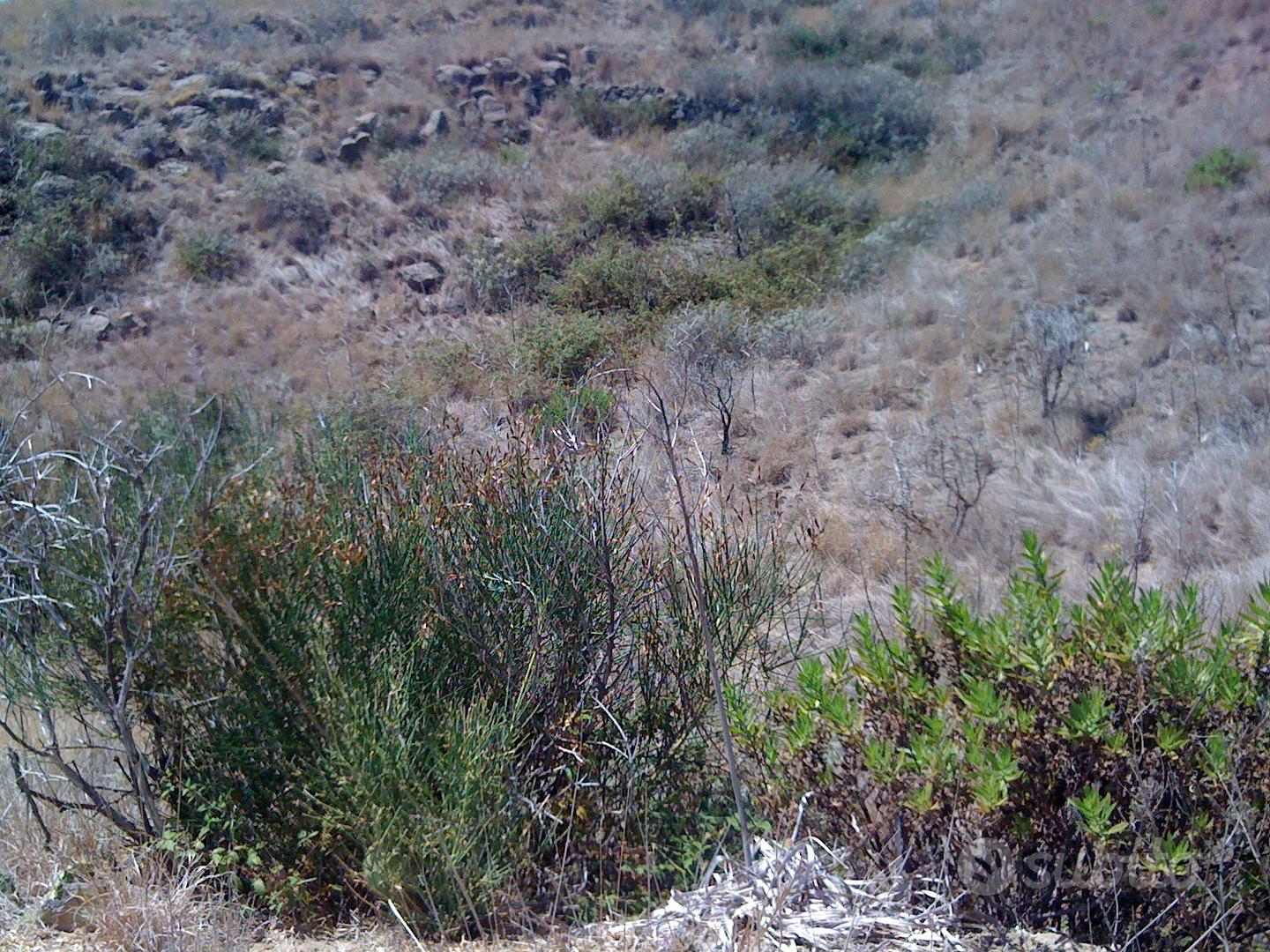 Terreni lipari pianoconte - Vista 5