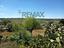 Immagine 28