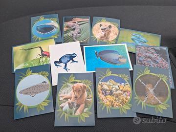 12 figurine animali Panini 
