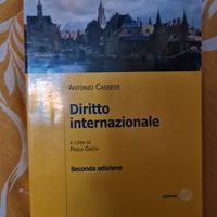 Diritto Internazionale 