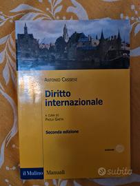 Diritto Internazionale 