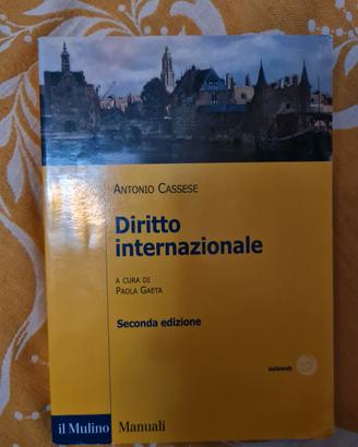 Diritto Internazionale 