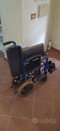 sedia a rotelle