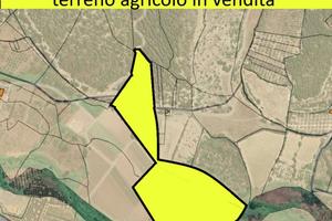 Terreno, Sennori.