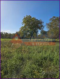 Terreno agricolo di 3700 mq