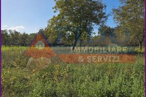 Terreno agricolo di 3700 mq