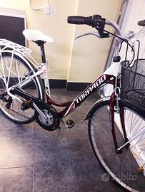 Bicicletta in Alluminio 