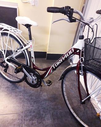 Bicicletta in Alluminio 