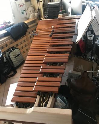 ADAMS-MAHL50 ARTIST Ludwig Albert,5 ottave C2-C7 R