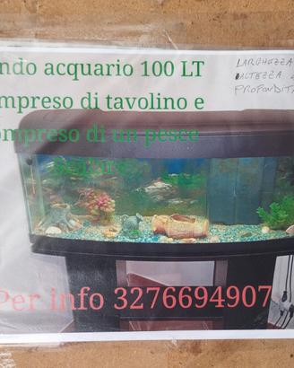 Vendita di acquario