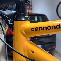 Bici Gravel Cannondale Topstone (Taglia M)