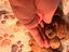 Immagine 1