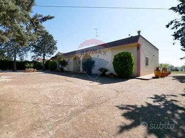 Agriturismo - Mottola