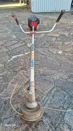 DECESPUGLIATORE
