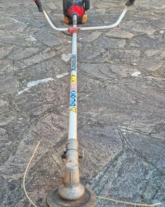 DECESPUGLIATORE