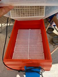 incubatrice digitale covatutto 54