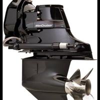 Piede campagna bravo 1 Mercruiser