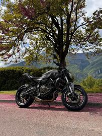 yamaha mt07