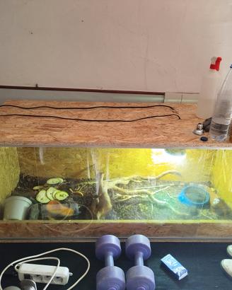 teca terrario rettili in legno