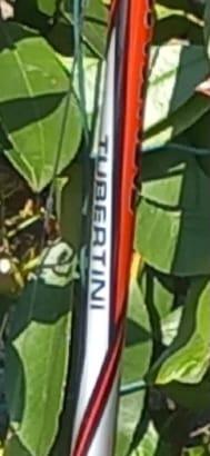 Canna da pesca Tubertini + mulinello