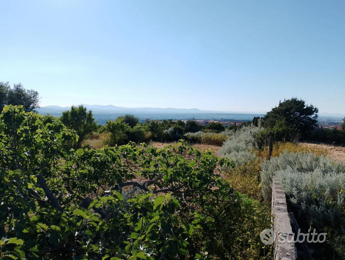Terreno edificabile ossi - Vista 5