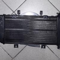 Radiatore usato YAMAHA TDM 900 CON ABS 2006