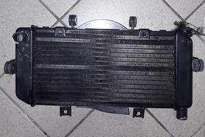 Radiatore usato YAMAHA TDM 900 CON ABS 2006