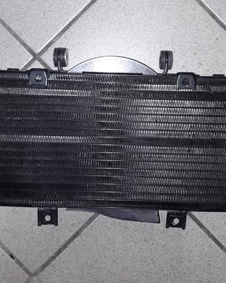 Radiatore usato YAMAHA TDM 900 CON ABS 2006