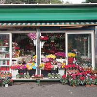 Chiosco Fiori