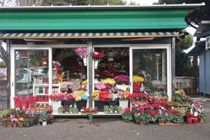 Chiosco Fiori