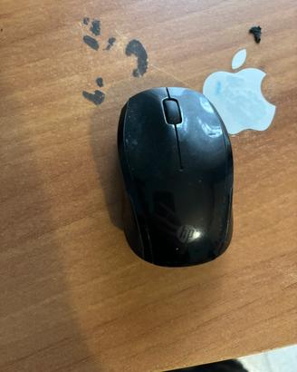 Mouse