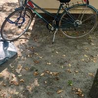 bicicletta donna bianchi