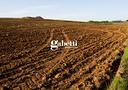 terreno-agricolo-conselve-cod-rif-0629251035vcg-