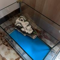 Acquario/ tartarughiera