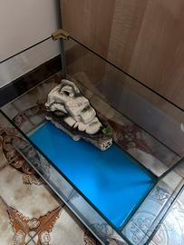 Acquario/ tartarughiera