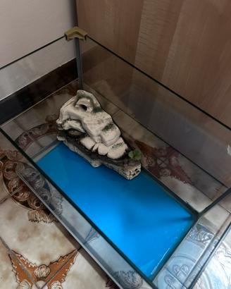 Acquario/ tartarughiera