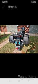 valigie laterali moto Guzzi breva 750