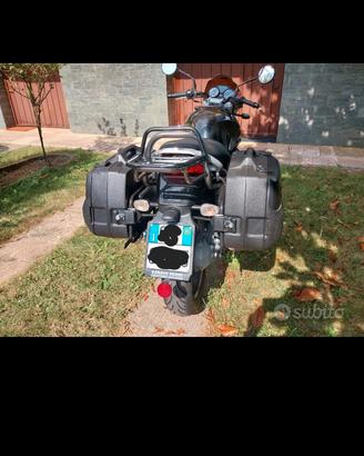 valigie laterali moto Guzzi breva 750