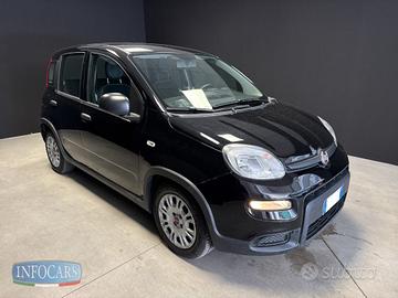 FIAT Panda 1.0 Hybrid 70 cv - Neopatentati - PRO