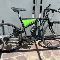 Mtb Bianchi ragno Thomisus