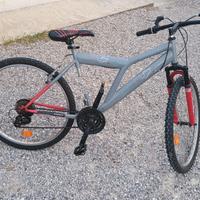 Mountain bike