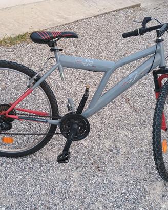 Mountain bike